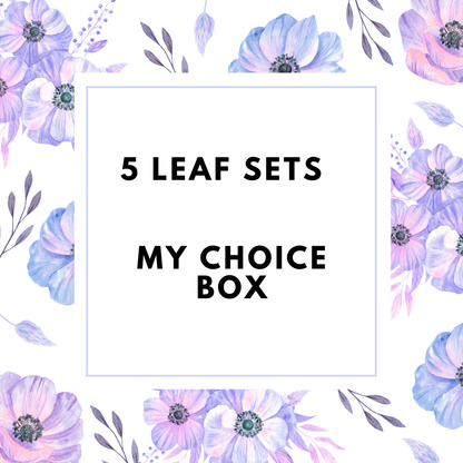 My Choice - 5 LEAF SET Box